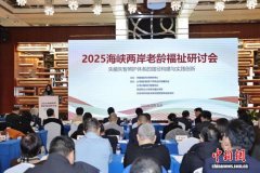海峡两岸老龄福祉研讨会举行 聚焦失能失智老年人照护